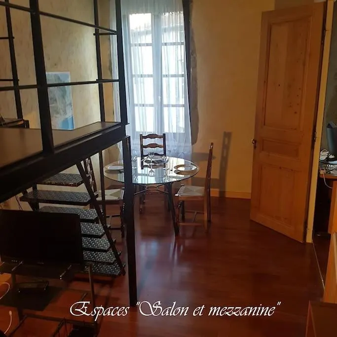 דירה בורג-אן-ברס Semi-Duplex Ancien Hotel Particulier צרפת
