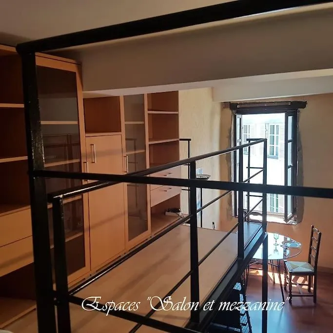 דירה בורג-אן-ברס Semi-Duplex Ancien Hotel Particulier
