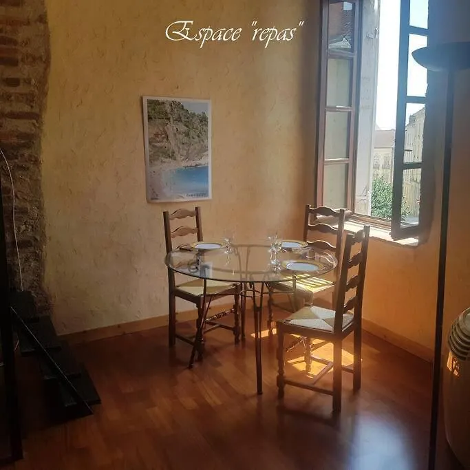 Semi-Duplex Ancien Hotel Particulier 부르앙브레스 0*,