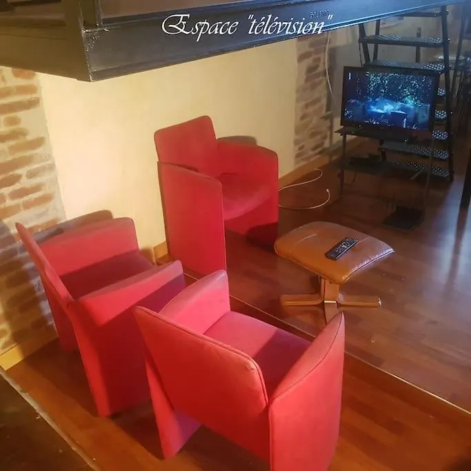 בורג-אן-ברס Semi-Duplex Ancien Hotel Particulier דירה