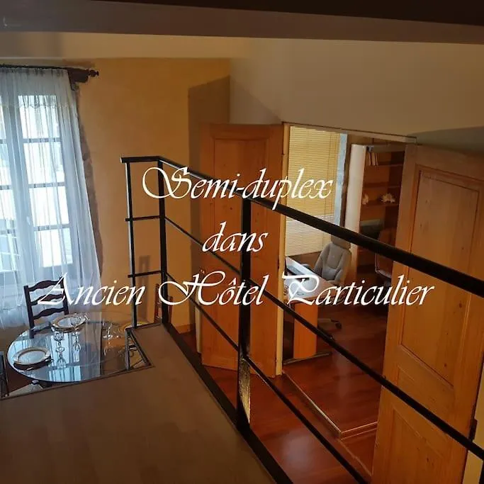 דירה בורג-אן-ברס Semi-Duplex Ancien Hotel Particulier