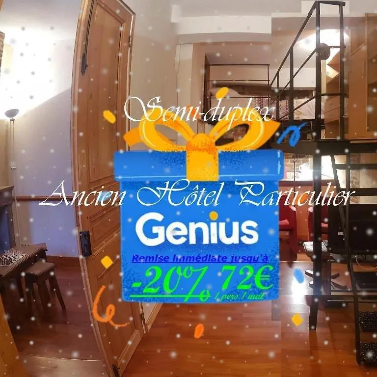 Semi-Duplex Ancien Hotel Particulier 부르앙브레스 0*,  프랑스